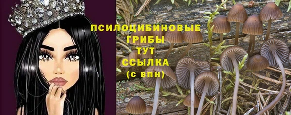 винт Беломорск